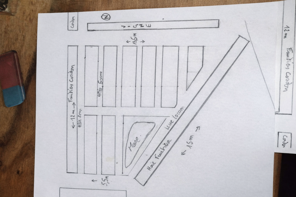 Plans de départ pour débuter un potager productif, dessinés à la main pour organiser les planches de culture et les allées.