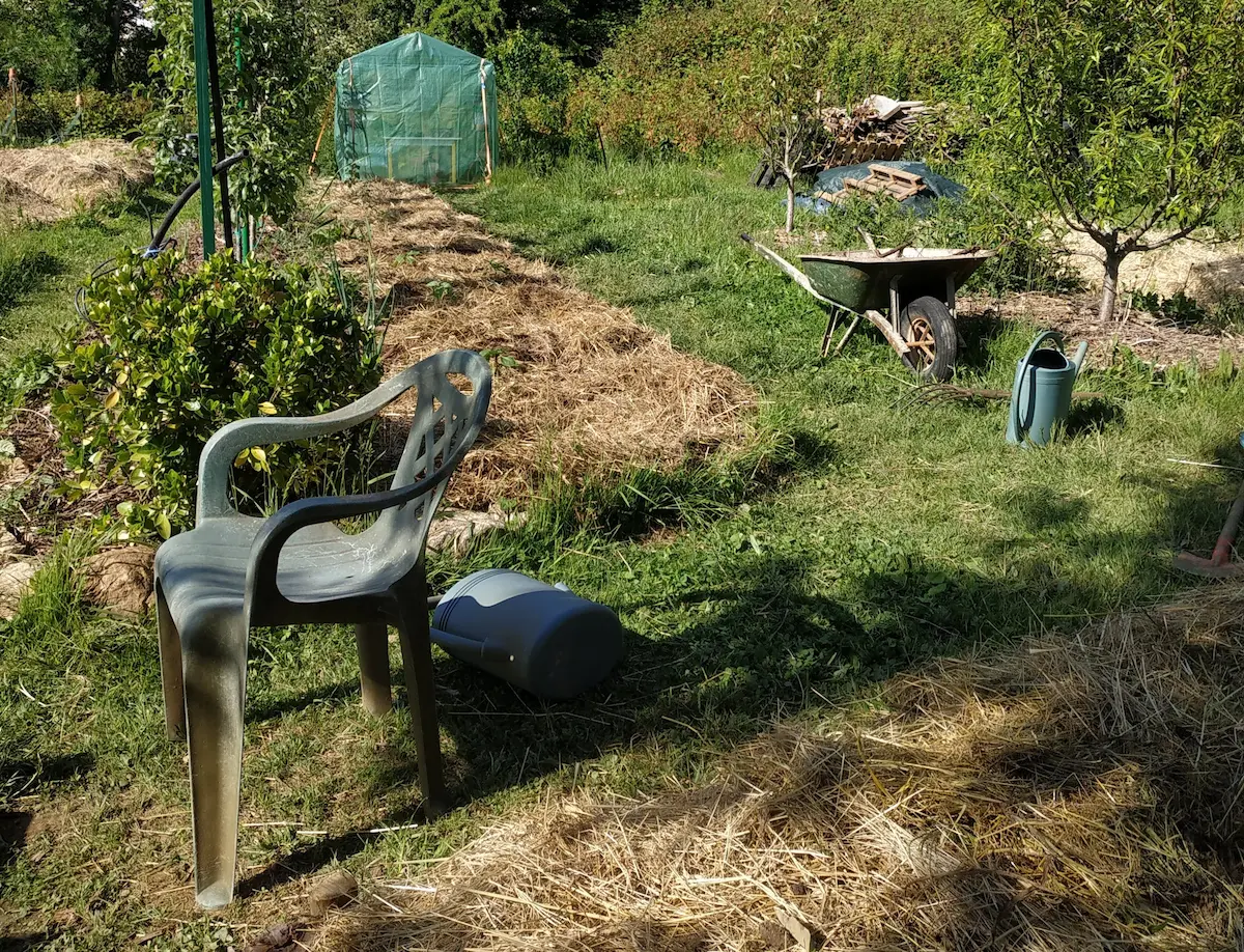 Potager paillé avec brouette, arrosoirs et chaise de repos, entretien simple au fil des semaines