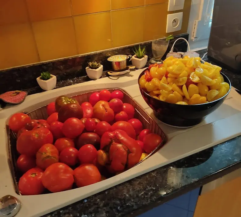 Légumes récoltés tomates rouges et jaune pour préparation à la conservation