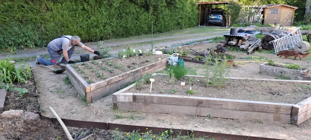 Construction d'un jardin d'aromatiques avec des bordures en bois et des zones de plantation délimitées près d'une terrasse.