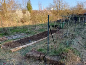 Préparation d'une butte de culture au potager pour optimiser l'emplacement des légumes.