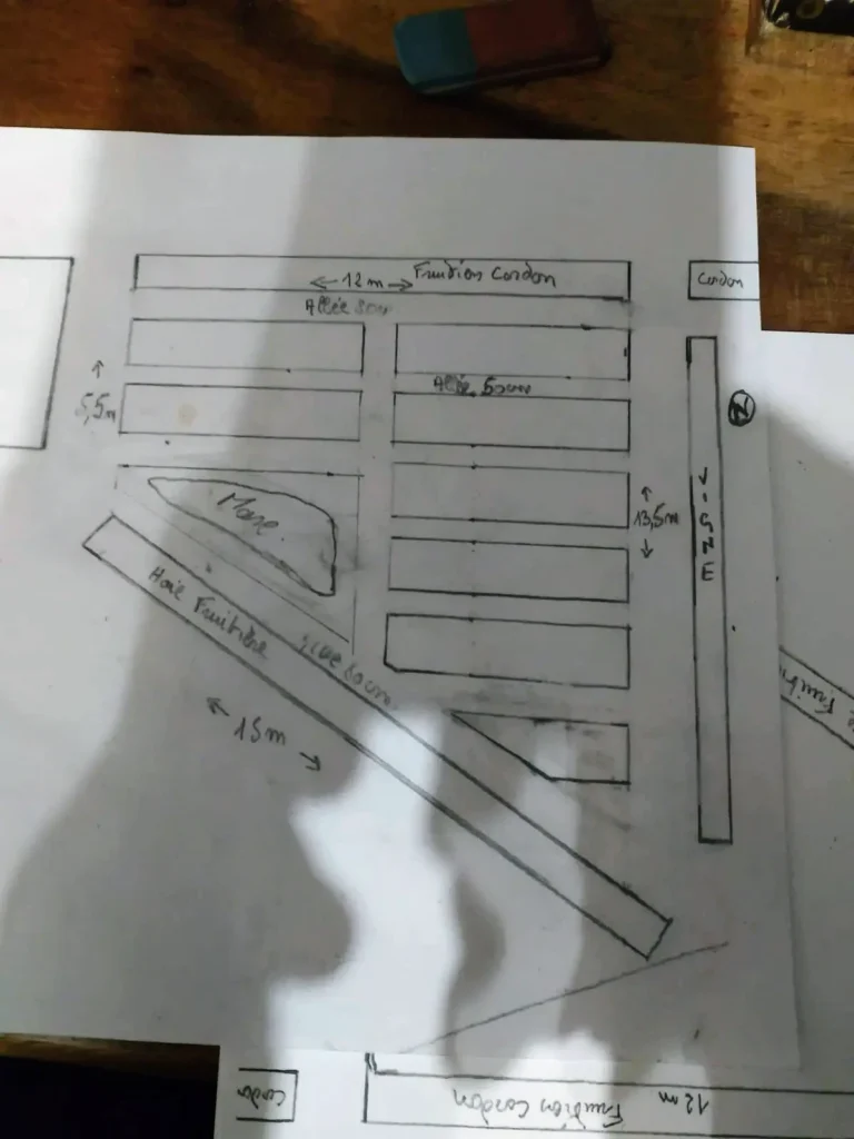 Plan de potager dessiné à la main sur papier millimétré montrant l'organisation des planches de culture et des allées de circulation.