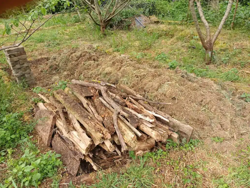 Tas de compostage allongé composé de bûches, rondins de bois et tontes de pelouse au pied d'un verger.